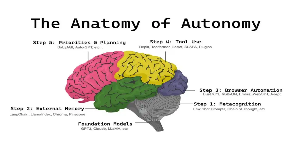 The Anatomy of Autonomy